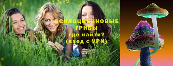 бошки Аркадак