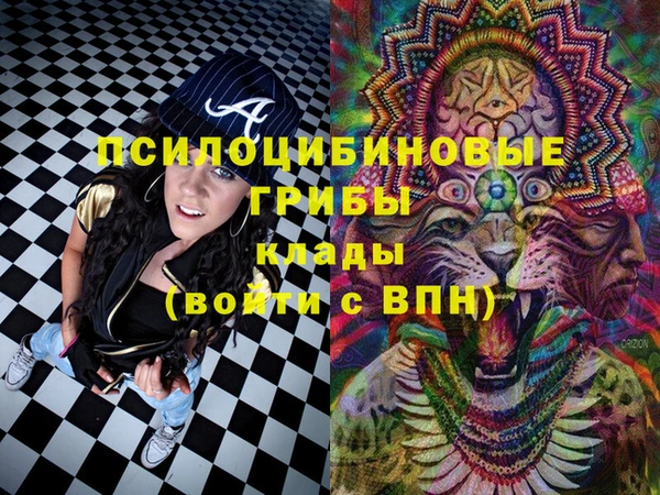 бошки Аркадак