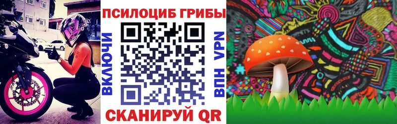Галлюциногенные грибы GOLDEN TEACHER  Фатеж 